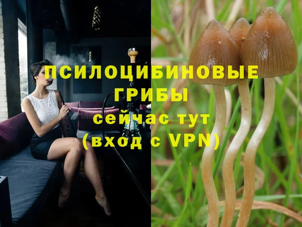хмурый Богородск