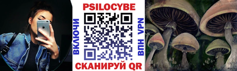 ОМГ ОМГ сайт  Краснознаменск  Псилоцибиновые грибы Psilocybine cubensis  закладки 